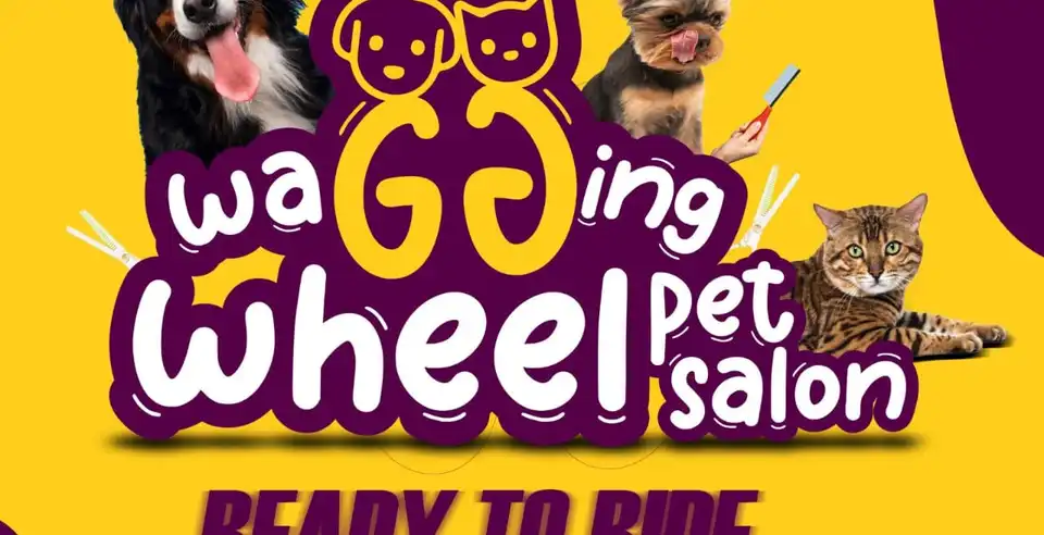 🔥 Why Mobile Pet Grooming in Abu Dhabi is the Future of Pet Care: Convenience, Comfort & Cleanliness at Your Doorstep